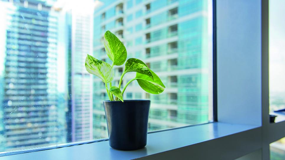 Professional IAQ System Replacement Services